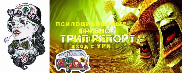 соль ск Алзамай