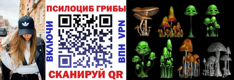 Галлюциногенные грибы Psilocybine cubensis  что такое   Нефтеюганск 